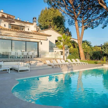 Corgona * Cannes