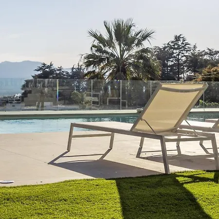 Corgona Cannes